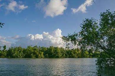 How Markets Could Topple the Economy: The Data You're Missing - Experts Sound Alarm