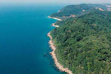 Bitcoin's Resurgence Ignites Altcoin Rally: Unpacking the Momentum and Charting the Future